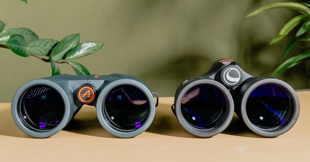 Compact Binoculars Reviews for Bird Watching