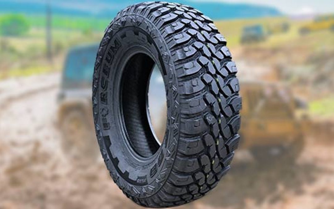 Fortune Tires Review