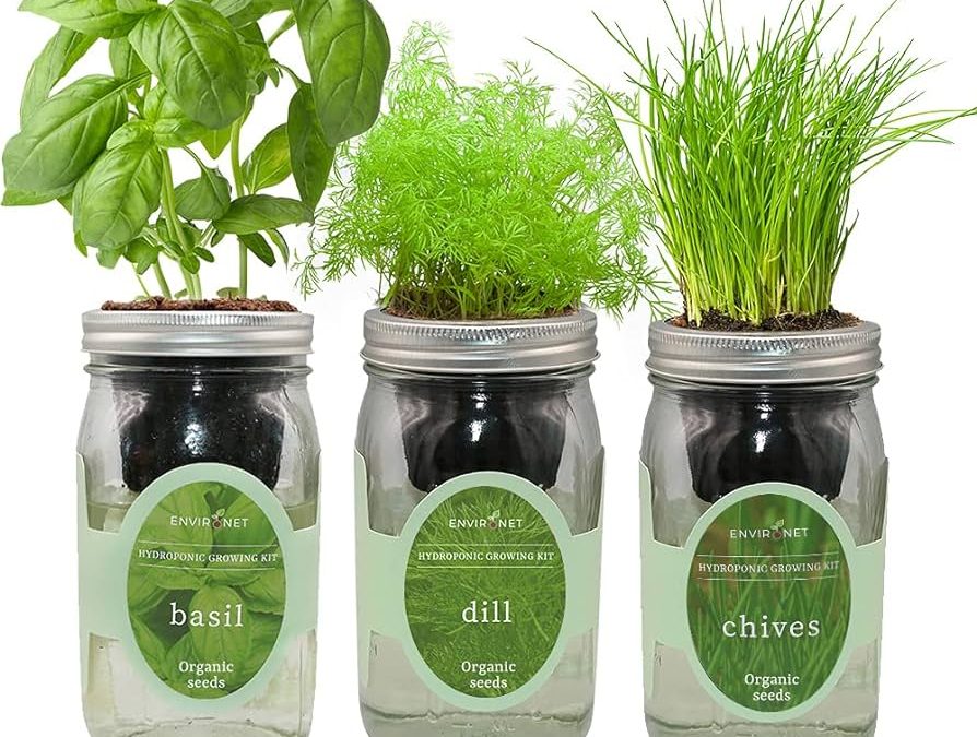 Indoor Herb Garden Kit Reviews for Beginners